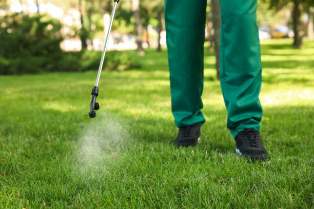 Best Mosquito Control Services  in Alanuk, AK